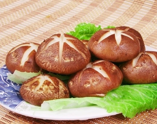 香菇